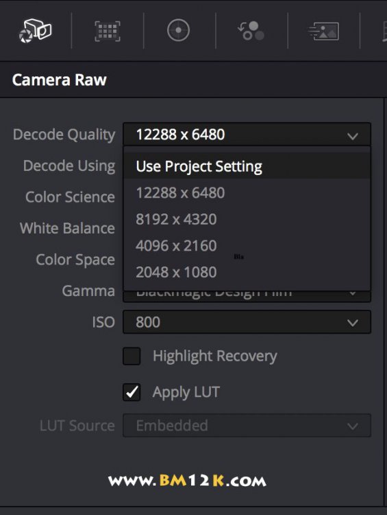 Blackmagic USRA Mini Pro 12k Camera Raw Decode Quality Options www.bm12k.com.jpg