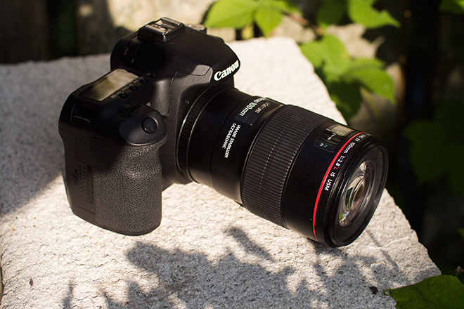 How Crop Factor Affects the Canon EOS 50D SLR camera
