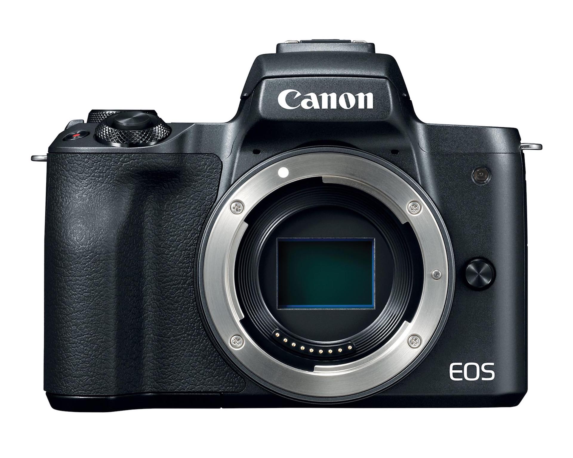 Amfibisch verbrand Diplomaat A warning about 4K on the Canon EOS M50 - EOSHD.com - Filmmaking Gear and  Camera Reviews